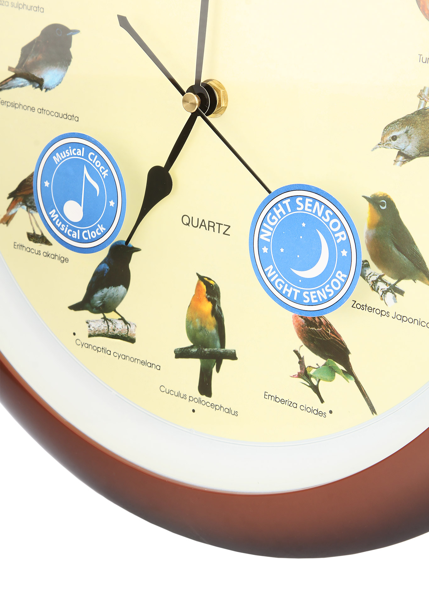 Настенные часы с пением птиц, цвет коричневый, размер 33*33*4 см, циферблат диаметр =25 см - фото 3