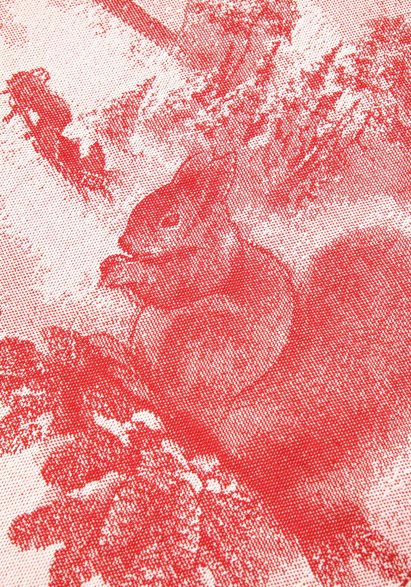 Комплект жаккардовых полотенец «Белки», 4 шт, цвет красный, размер 50x70 - фото 8