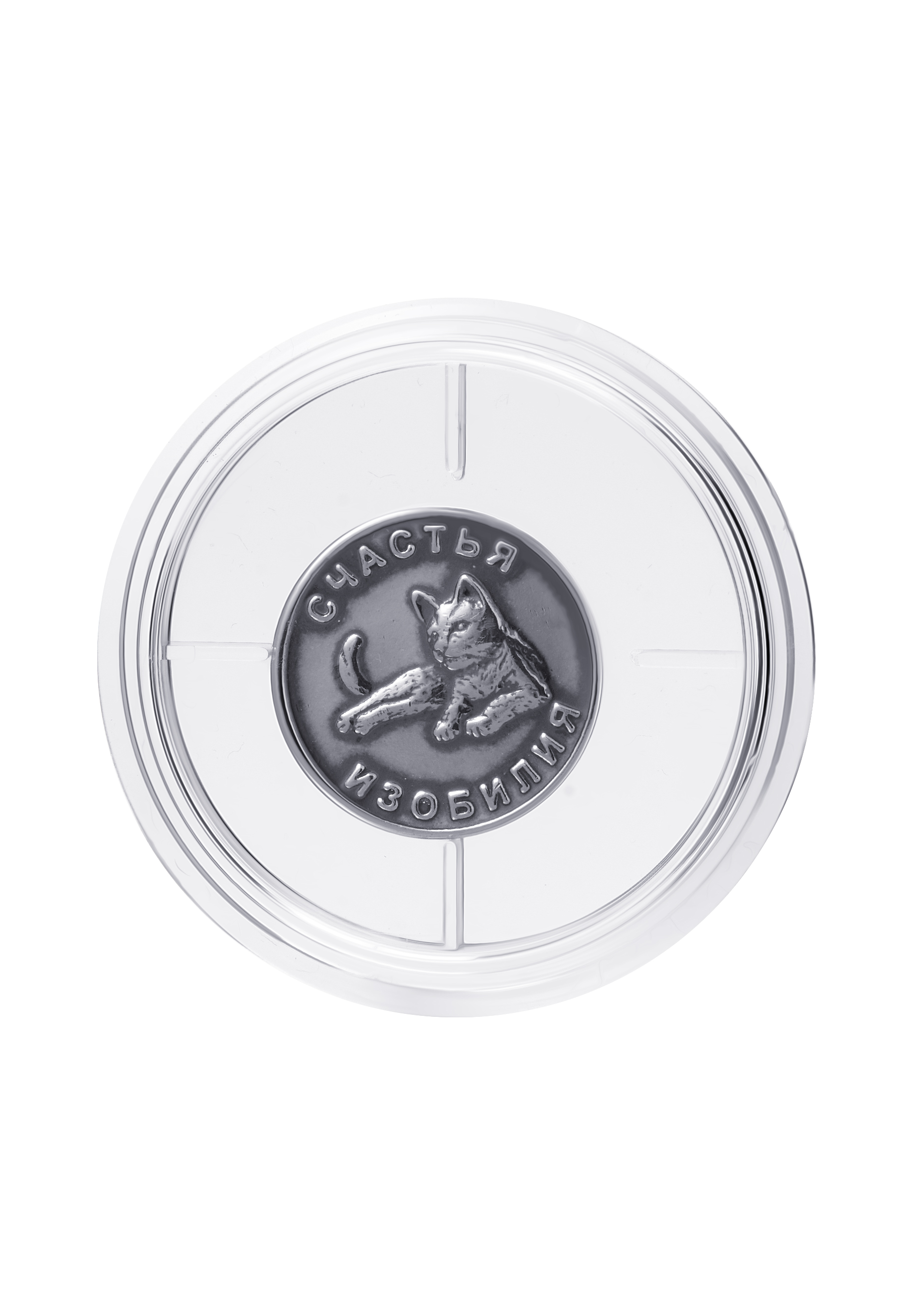 Серебряная монета «Символ 2023 года»